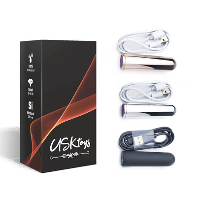 Vibrador recargable magnético de la bala del sexo del huevo del Massager para la mujer
