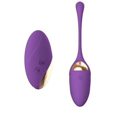 Vibrador vibrante de Toy Remote Control Love Egg del sexo de los huevos de la radio de la recarga del USB