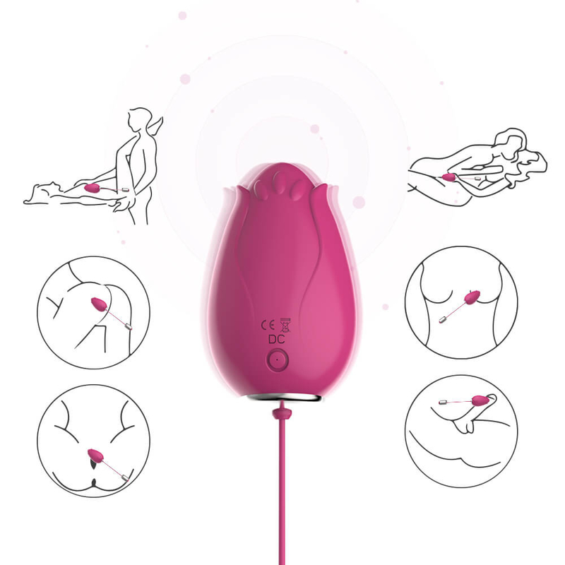 Juguetes vibrantes del sexo del huevo del punto de G para el control inalámbrico Mini Flower Silicone de las mujeres